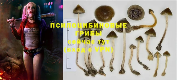 PSILOCYBIN Алексеевка