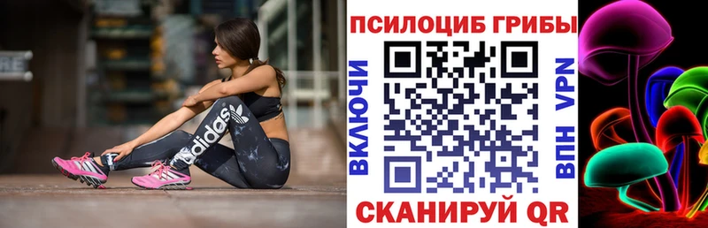 Псилоцибиновые грибы мицелий  Перевоз 
